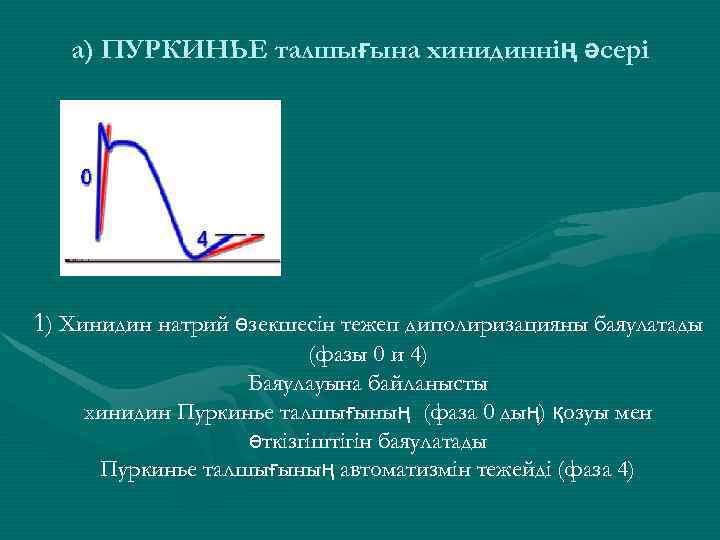 а) ПУРКИНЬЕ талшығына хинидиннің әсері 1) Хинидин натрий өзекшесін тежеп диполиризацияны баяулатады (фазы 0