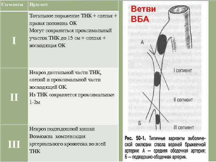 Сегменты Прогноз I Тотальное поражение ТНК + слепая + правая половина ОК Могут сохраниться