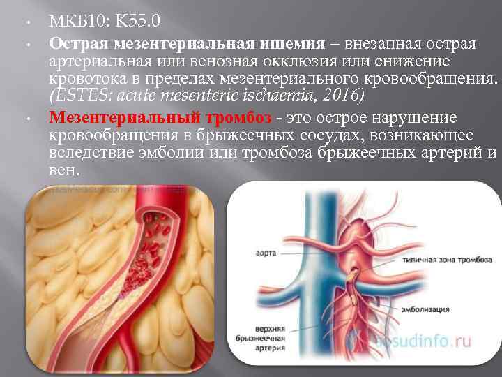  • • • МКБ 10: K 55. 0 Острая мезентериальная ишемия – внезапная