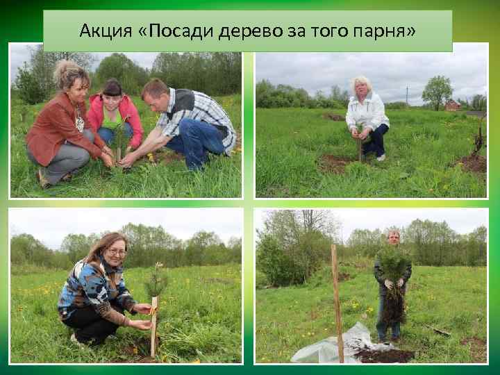 Акция «Посади дерево за того парня» 