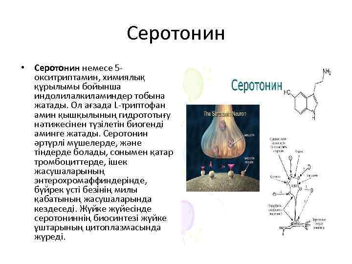 Серотонин • Серотонин немесе 5 окситриптамин, химиялық құрылымы бойынша индолилалкиламиндер тобына жатады. Ол ағзада