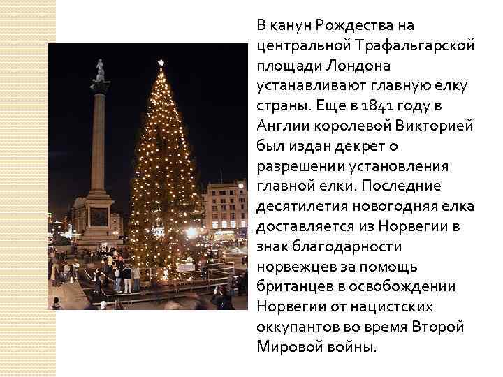 В канун Рождества на центральной Трафальгарской площади Лондона устанавливают главную елку страны. Еще в