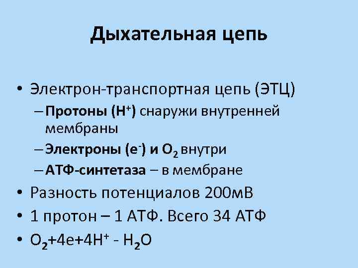 Дыхательная цепь • Электрон-транспортная цепь (ЭТЦ) – Протоны (Н+) снаружи внутренней мембраны – Электроны