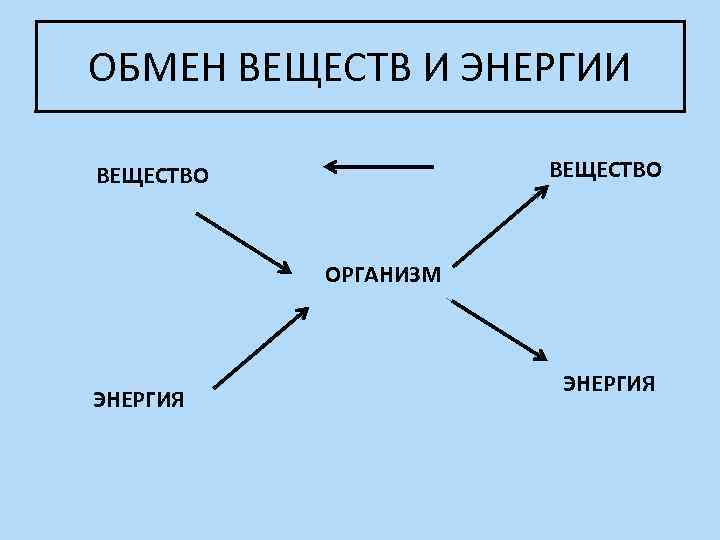 ОБМЕН ВЕЩЕСТВ И ЭНЕРГИИ ВЕЩЕСТВО ОРГАНИЗМ ЭНЕРГИЯ 