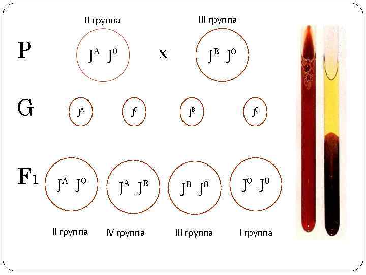 III группа Р G F 1 х JA JA J 0 II группа J
