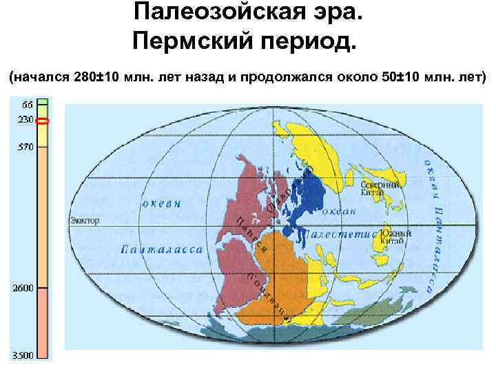 Палеозойская эра. Пермский период. (начался 280± 10 млн. лет назад и продолжался около 50±