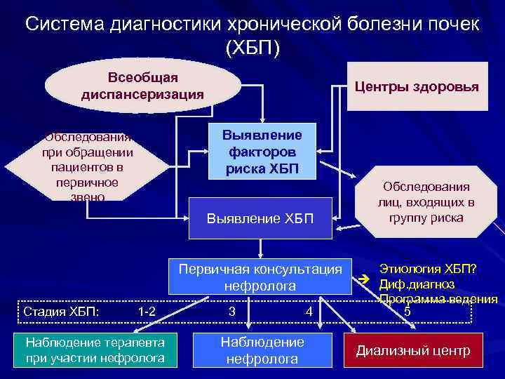 Система диагностики хронической болезни почек (ХБП) Всеобщая диспансеризация Обследования при обращении пациентов в первичное