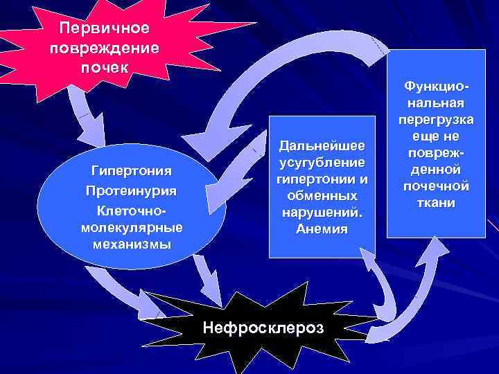 Первичное повреждение почек Гипертония Протеинурия Клеточномолекулярные механизмы Дальнейшее усугубление гипертонии и обменных нарушений. Анемия