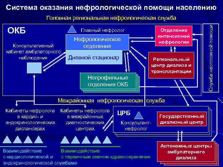 Система оказания нефрологической помощи населению ОКБ Отделение интенсивной нефрологии Главный нефролог Консультативный кабинет амбулаторного