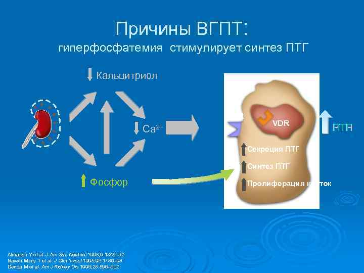Причины ВГПТ: гиперфосфатемия стимулирует синтез ПТГ Кальцитриол Ca. R Ca 2+ VDR Секреция ПТГ