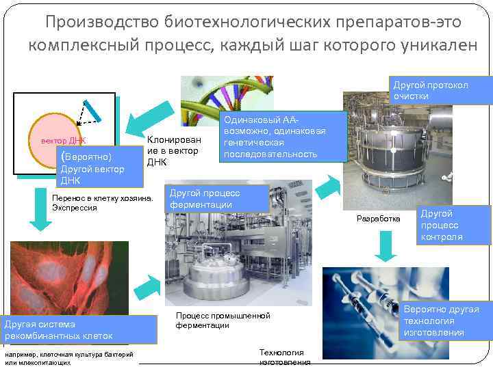 Производство биотехнологических препаратов-это комплексный процесс, каждый шаг которого уникален Другой протокол очистки вектор ДНК