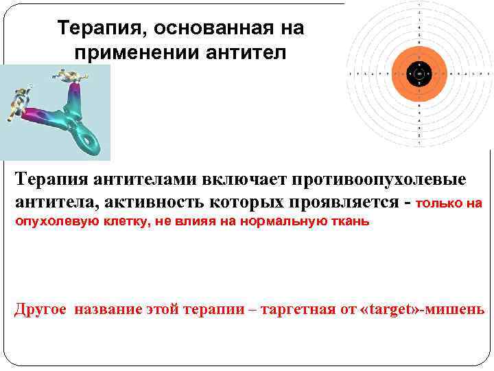 Терапия, основанная на применении антител Терапия антителами включает противоопухолевые антитела, активность которых проявляется -