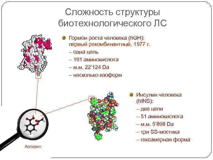 Сложность структуры биотехнологического ЛС Гормон роста человека (h. GH): первый рекомбинантный, 1977 г. –