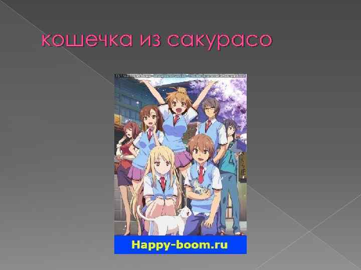 кошечка из сакурасо 