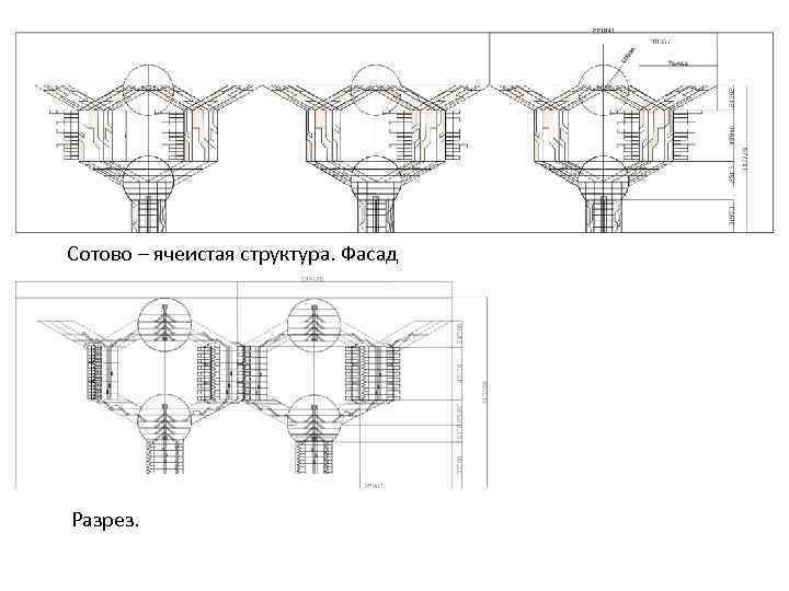 Сотово – ячеистая структура. Фасад Разрез. 