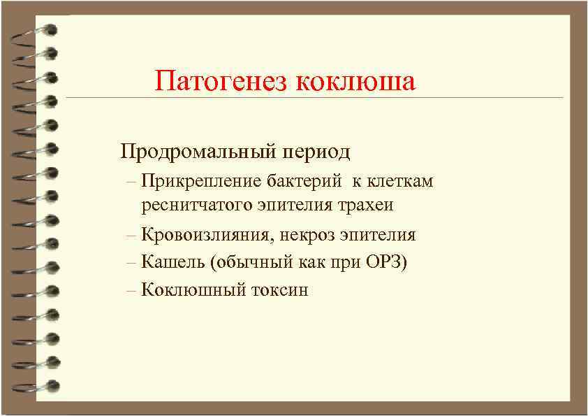 Патогенез коклюша Продромальный период – Прикрепление бактерий к клеткам реснитчатого эпителия трахеи – Кровоизлияния,