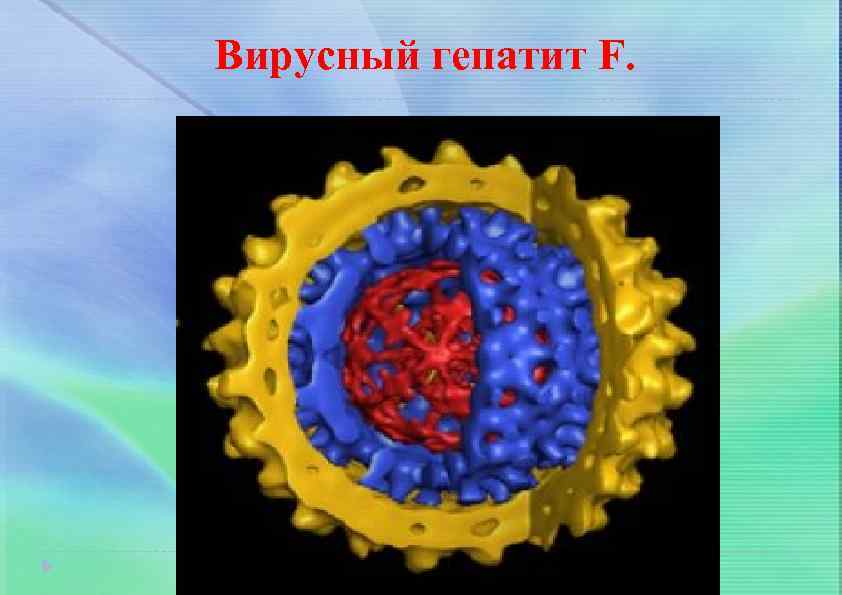 Вирусный гепатит F. 