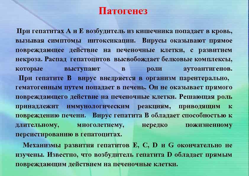 Патогенез При гепатитах А и Е возбудитель из кишечника попадает в кровь, вызывая симптомы