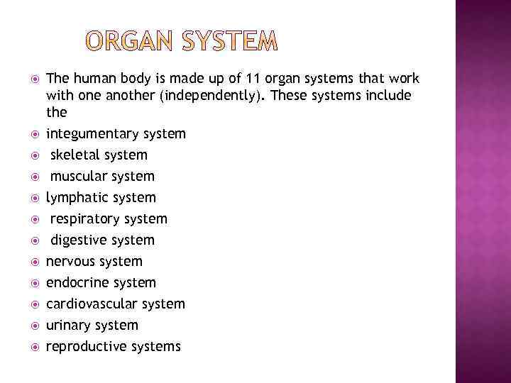  The human body is made up of 11 organ systems that work with