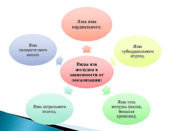Язва язва кардиального; Язва пилорического канала Язва субкардиального отдела; Виды язв желудка в зависимости