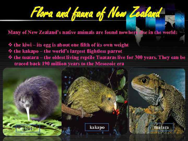 Flora and fauna of New Zealand Many of New Zealand’s native animals are found