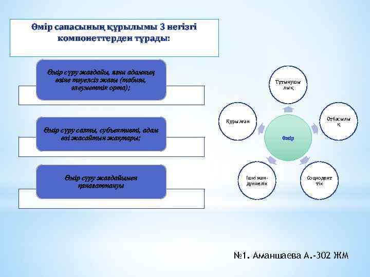 Өмір сапасының құрылымы 3 негізгі компонеттерден тұрады: Өмір сүру жағдайы, яғни адамның өзіне тәуелсіз