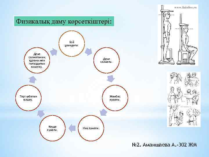 Физикалық даму көрсеткіштері: Бой ұзындығы. Дене салмағының құрамы мен тығыздығын анықтау. Дене салмағы. Тері