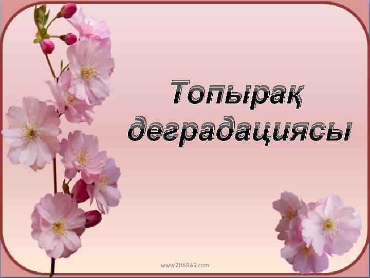 Топырақ деградациясы www. ZHARAR. com 