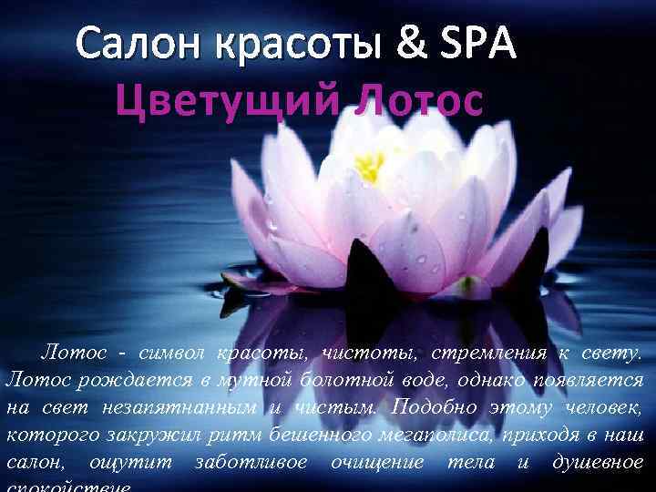 Салон красоты & SPA Цветущий Лотос - символ красоты, чистоты, стремления к свету. Лотос