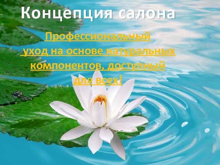 Концепция салона Профессиональный уход на основе натуральных компонентов, доступный для всех! 
