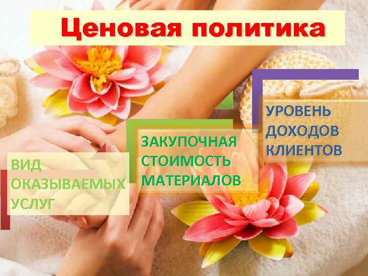 Ценовая политика ЗАКУПОЧНАЯ СТОИМОСТЬ ВИД ОКАЗЫВАЕМЫХ МАТЕРИАЛОВ УСЛУГ УРОВЕНЬ ДОХОДОВ КЛИЕНТОВ 