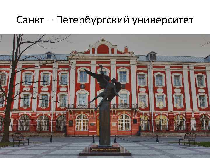 Санкт – Петербургский университет 