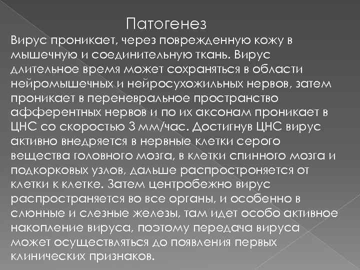 Патогенез Вирус проникает, через поврежденную кожу в мышечную и соединительную ткань. Вирус длительное время