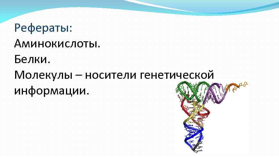 Рефераты: Аминокислоты. Белки. Молекулы – носители генетической информации. 