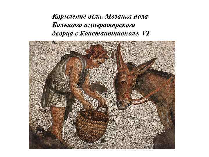Кормление осла. Мозаика пола Большого императорского дворца в Константинополе. VI в. 