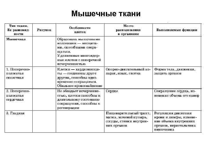 Лабораторная по биологии 6 класс ткани. Изучение тканей человека таблица. Таблица микроскопическое строение тканей. Изучение микроскопического строения ткани биология 8 класс. Строение тканей человека таблица.