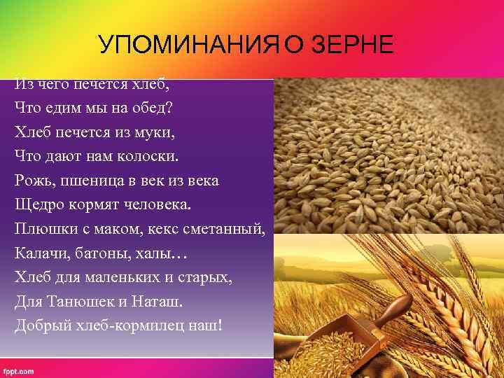 УПОМИНАНИЯ О ЗЕРНЕ Из чего печется хлеб, Что едим мы на обед? Хлеб печется