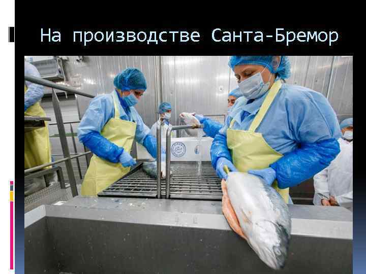 На производстве Санта-Бремор 