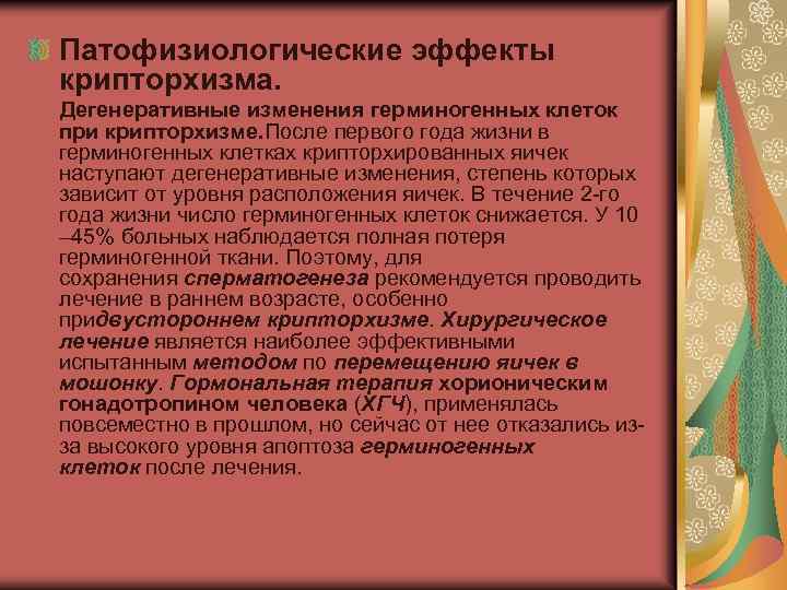 Патофизиологические эффекты крипторхизма. Дегенеративные изменения герминогенных клеток при крипторхизме. После первого года жизни в