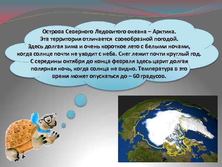 Острова Северного Ледовитого океана – Арктика. Эта территория отличается своеобразной погодой. Здесь долгая зима