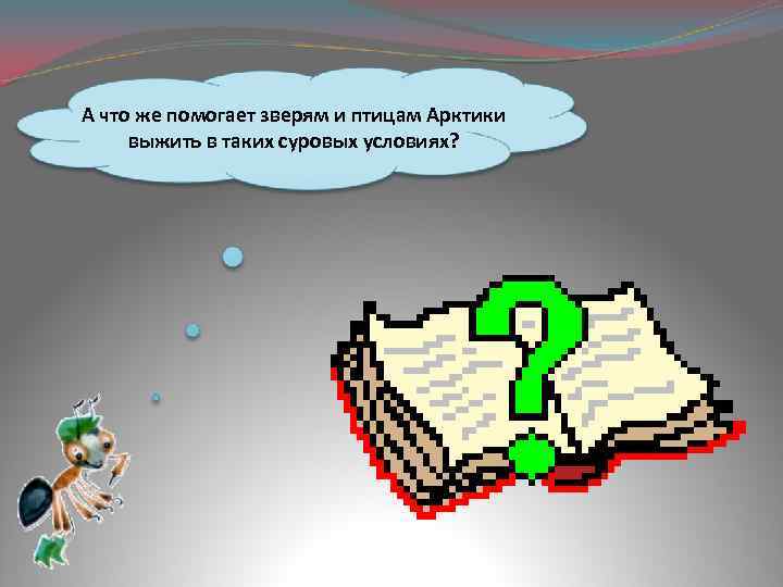 А что же помогает зверям и птицам Арктики выжить в таких суровых условиях? 