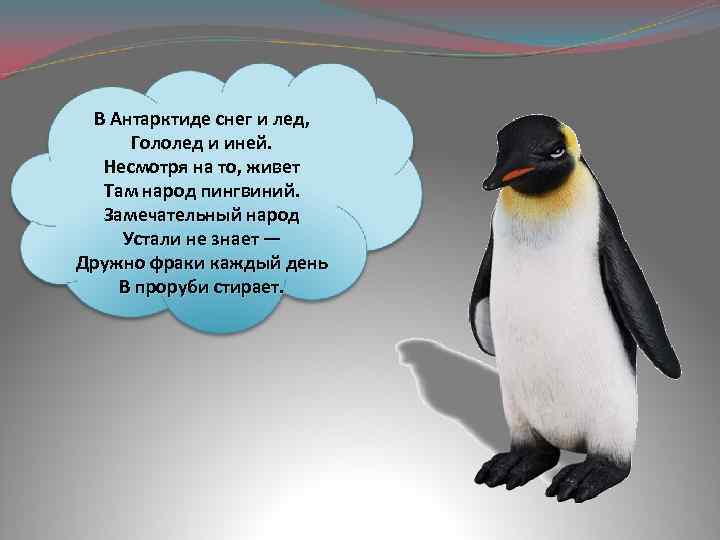 В Антарктиде снег и лед, Гололед и иней. Несмотря на то, живет Там народ