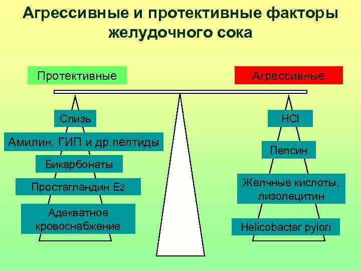 Агрессивные и протективные факторы желудочного сока Протективные Агрессивные Слизь HCl Амилин, ГИП и др.