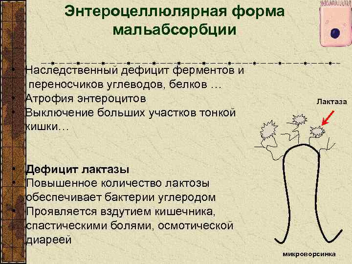 Энтероцеллюлярная форма мальабсорбции • Наследственный дефицит ферментов и переносчиков углеводов, белков … • Атрофия