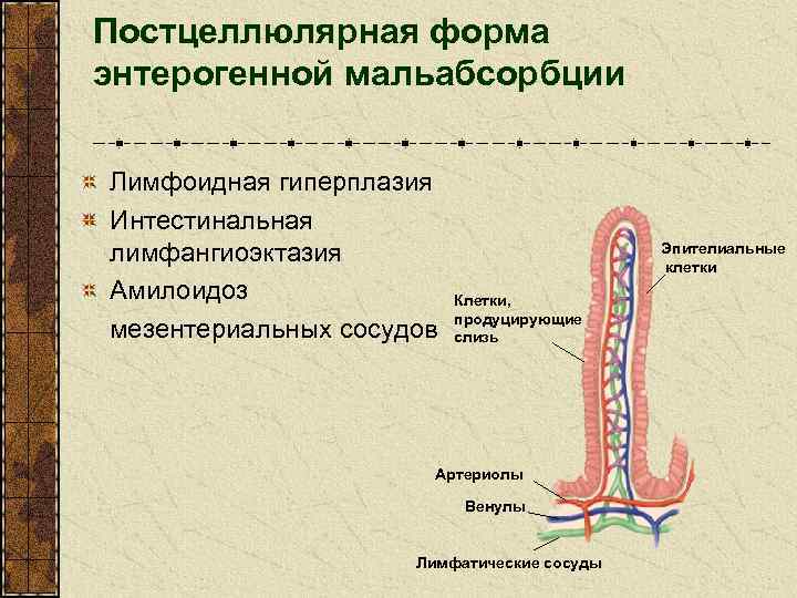 Постцеллюлярная форма энтерогенной мальабсорбции Лимфоидная гиперплазия Интестинальная лимфангиоэктазия Амилоидоз мезентериальных сосудов Эпителиальные клетки Клетки,