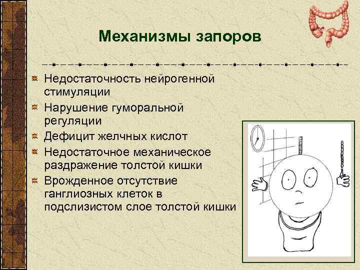 Механизмы запоров Недостаточность нейрогенной стимуляции Нарушение гуморальной регуляции Дефицит желчных кислот Недостаточное механическое раздражение