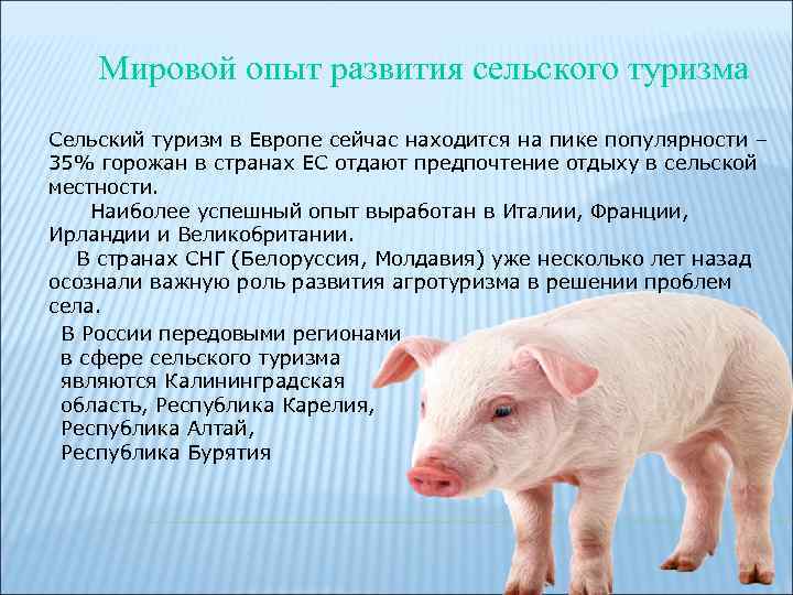Мировой опыт развития сельского туризма Сельский туризм в Европе сейчас находится на пике популярности