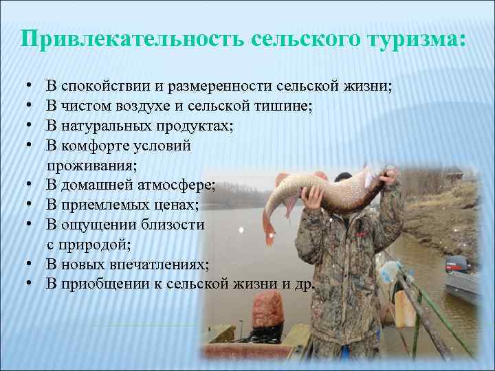 Привлекательность сельского туризма: • • • В спокойствии и размеренности сельской жизни; В чистом