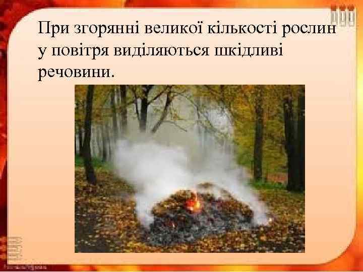 При згорянні великої кількості рослин у повітря виділяються шкідливі речовини. 