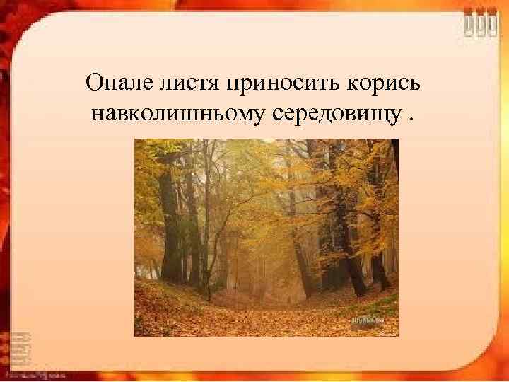 Опале листя приносить корись навколишньому середовищу. 